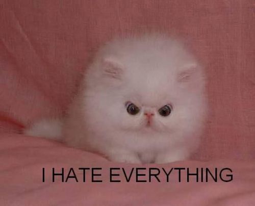 i-hate-everything--large-msg-11860017175.jpg
