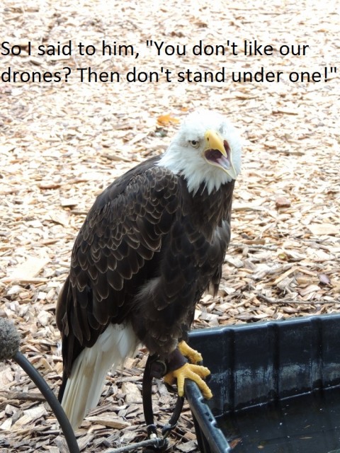 DSCN4586 (750x1000).jpg