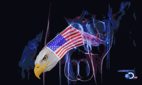 freedom-boner.gif