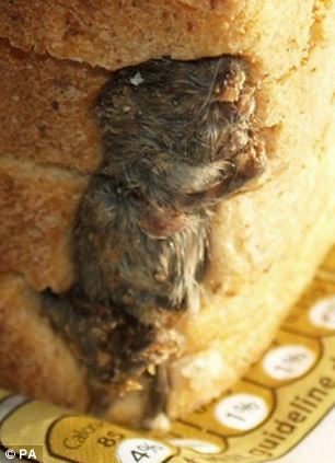 inbread.jpg