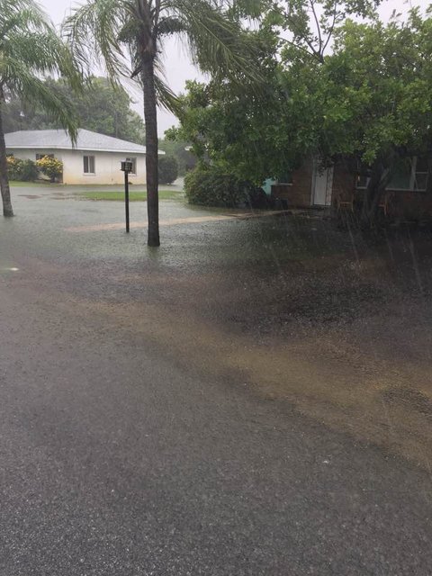 flood.jpg