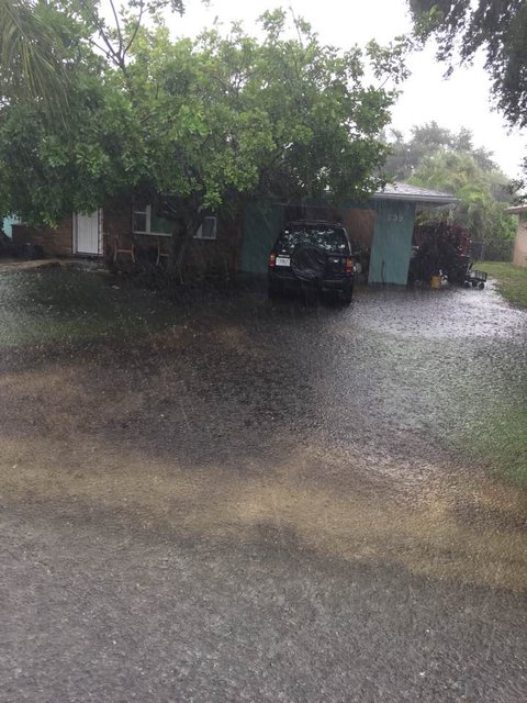 flood2.jpg