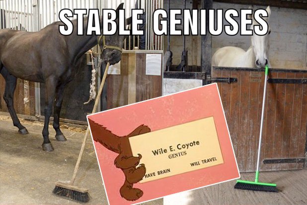 genius.jpg