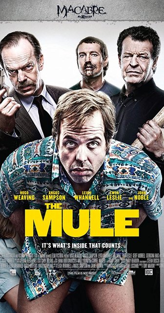 the mule.jpg