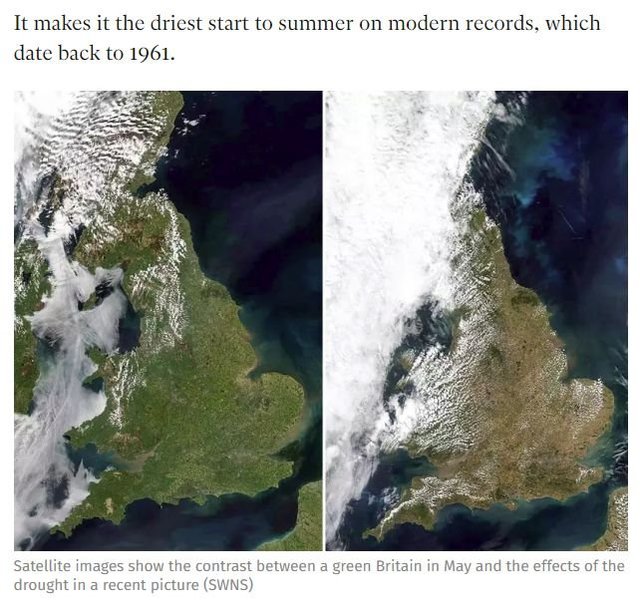 summer18.jpg