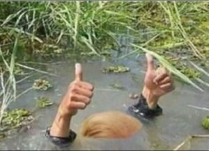 draining the swamp.jpg