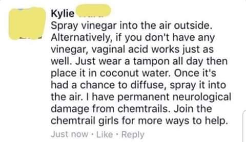 chemvag.jpg