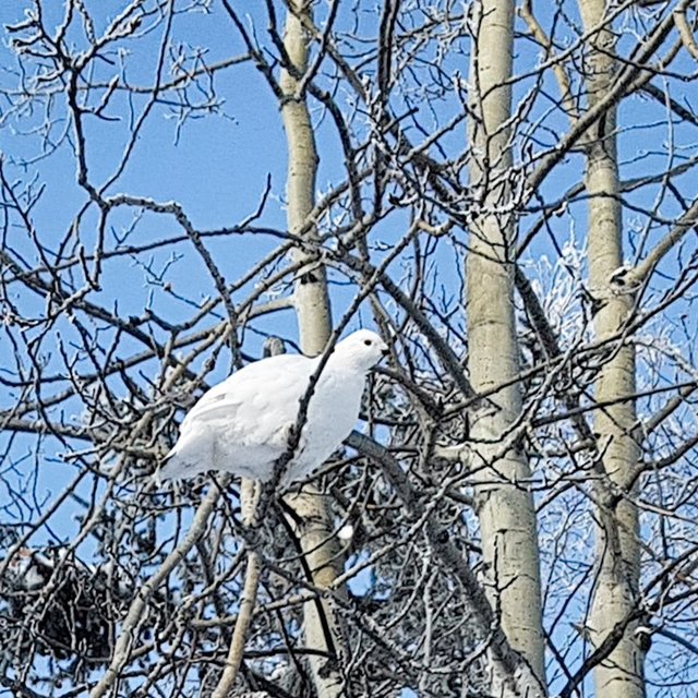 20190212_141044.jpg
