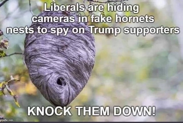 1D012F9F-F56E-4E78-ACA7-275C28048CF4.jpeg