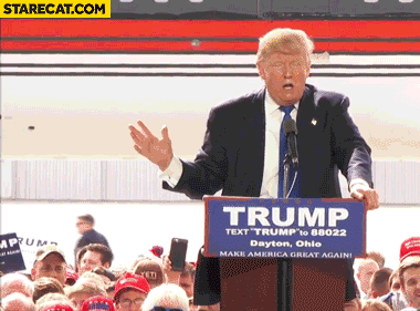 C517A0A2-CD55-4420-83BB-F5F7B1BA79C4.gif