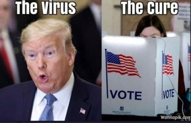 trump cure.jpg