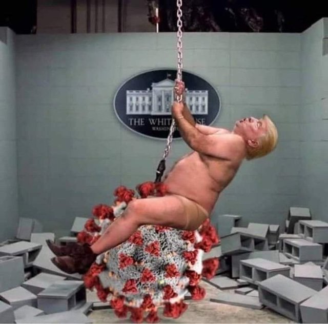 trump wrecking ball 2020.jpg