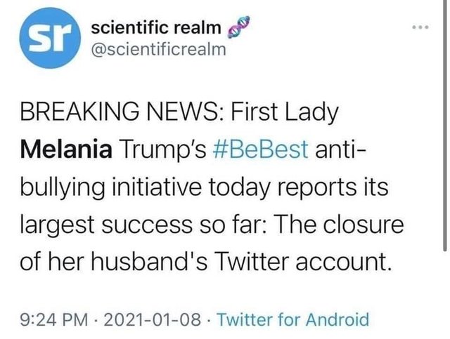 melania bully.jpg