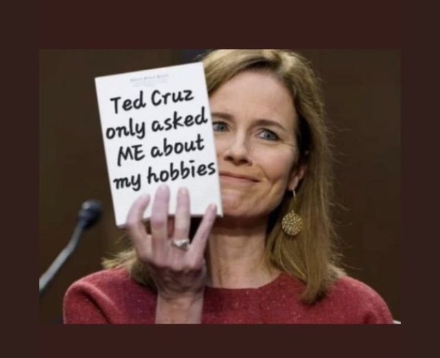 ted cruze judege amy.jpg