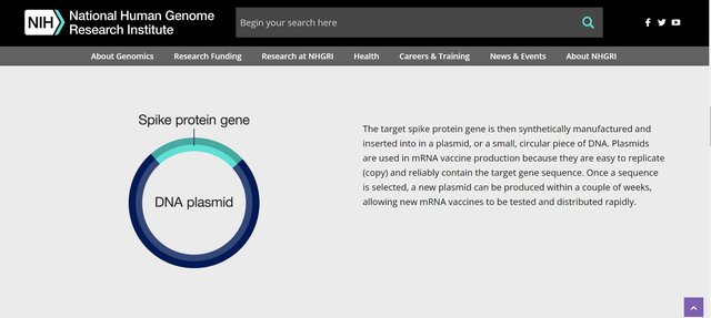 plasmid dna.jpg