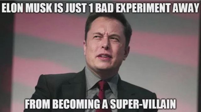 musk.jpg