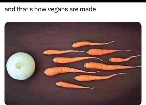 thatshowvegansaremade.jpg