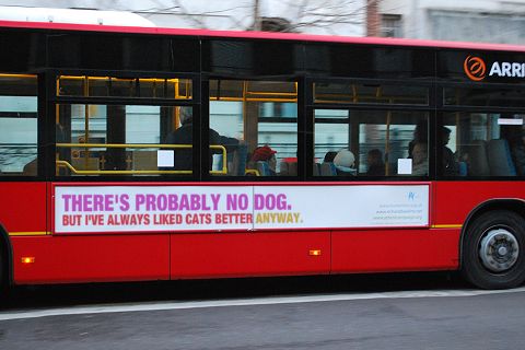 bus01.jpg