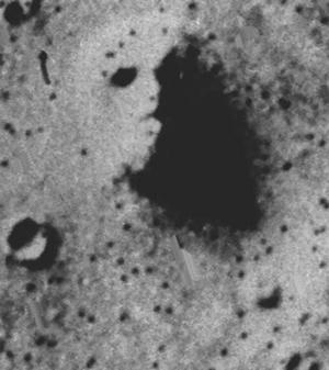 face-on-mars 2 .jpg