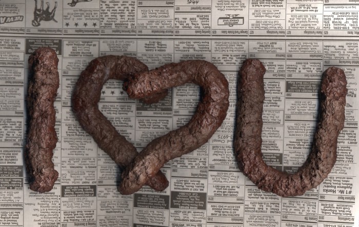 DogPoopILOVEU.jpg