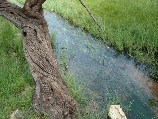 taung8.jpg