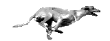 Hover Dog! :hoverdog: