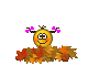 Fall is fun! :fall:
