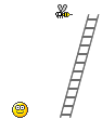 Wasp :wasp: